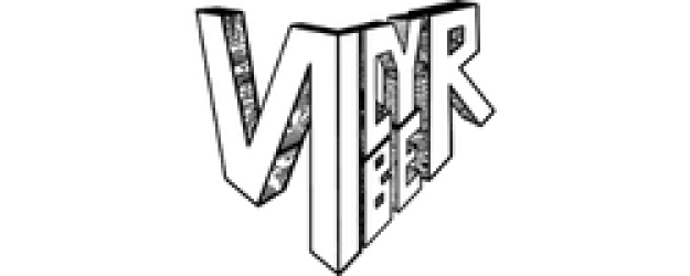 Vicyber