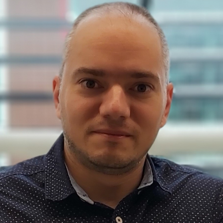 Vlad Moldoveanu