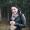 Timea Nagy